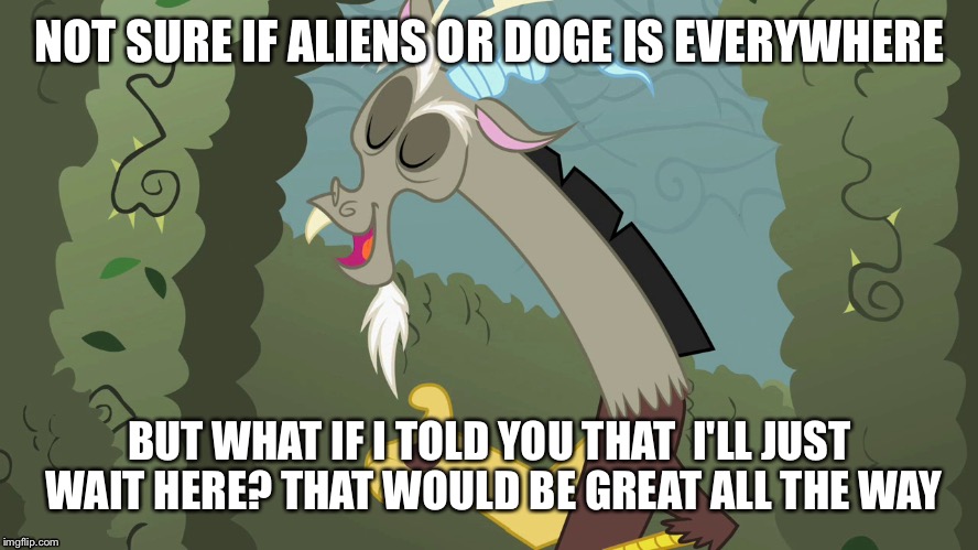 Chaos | NOT SURE IF ALIENS OR DOGE IS EVERYWHERE; BUT WHAT IF I TOLD YOU THAT  I'LL JUST WAIT HERE? THAT WOULD BE GREAT ALL THE WAY | image tagged in memes,funny,my little pony,funny memes,chaos,discord | made w/ Imgflip meme maker