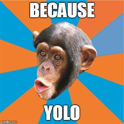 because YOLO | BECAUSE; YOLO | image tagged in chimp,monkey,chimpanzee | made w/ Imgflip meme maker