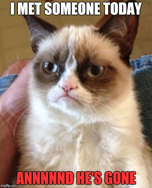 Grumpy Cat Meme | I MET SOMEONE TODAY; ANNNNND HE'S GONE | image tagged in memes,grumpy cat | made w/ Imgflip meme maker