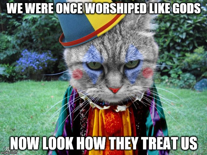 CLOWN CAT | WE WERE ONCE WORSHIPED LIKE GODS; NOW LOOK HOW THEY TREAT US | image tagged in grumpy cat,clown | made w/ Imgflip meme maker