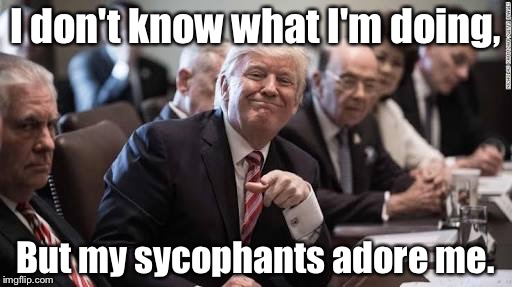 Trump | I don't know what I'm doing, But my sycophants adore me. | image tagged in trump cabinet | made w/ Imgflip meme maker