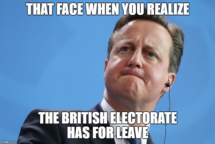 THAT FACE WHEN YOU REALIZE; THE BRITISH ELECTORATE HAS FOR LEAVE | image tagged in david cameron puff face | made w/ Imgflip meme maker