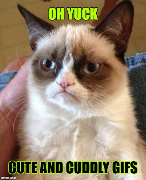 Grumpy Cat Meme | OH YUCK; CUTE AND CUDDLY GIFS | image tagged in memes,grumpy cat | made w/ Imgflip meme maker