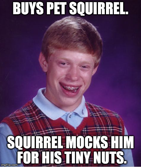 Bad Luck Brian | BUYS PET SQUIRREL. SQUIRREL MOCKS HIM FOR HIS TINY NUTS. | image tagged in memes,bad luck brian,pets,animals,funny,funny memes | made w/ Imgflip meme maker