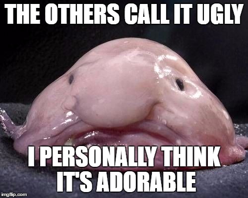 Blobfishes Are ADORABLE | THE OTHERS CALL IT UGLY; I PERSONALLY THINK IT'S ADORABLE | image tagged in blobfish,fish,ugly,adorable | made w/ Imgflip meme maker