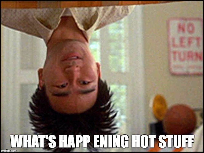 Long Duck Dong (upside down) | WHAT'S HAPP ENING HOT STUFF | image tagged in long duck dong upside down | made w/ Imgflip meme maker