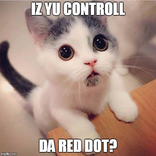 Red Dot Kitten | IZ YU CONTROLL; DA RED DOT? | image tagged in cat,kitten,red dot | made w/ Imgflip meme maker