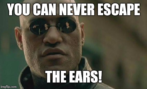 YOU CAN NEVER ESCAPE THE EARS! | image tagged in memes,matrix morpheus | made w/ Imgflip meme maker