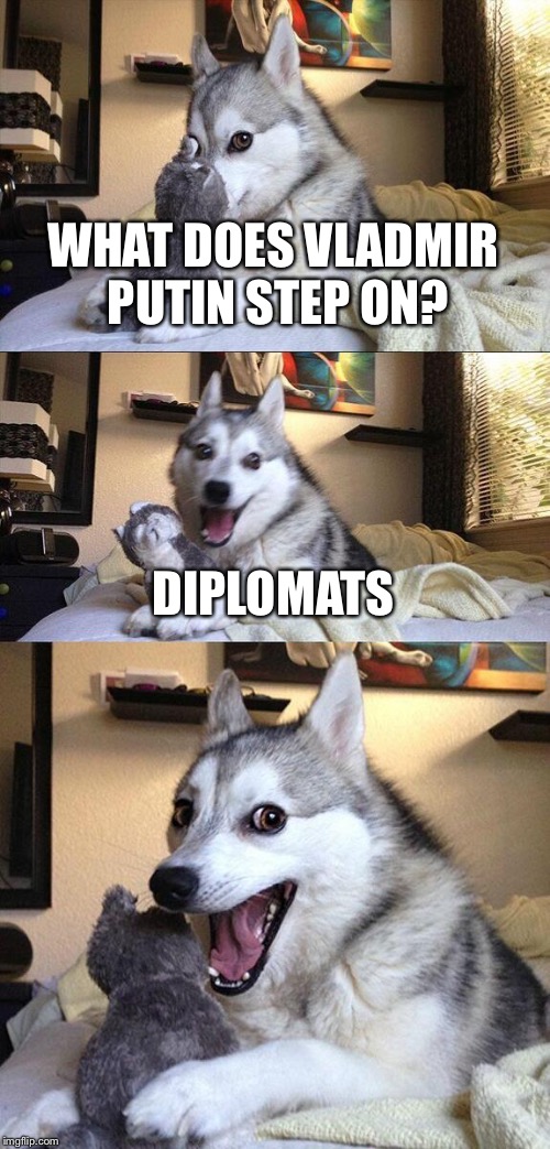 Bad Pun Dog | WHAT DOES VLADMIR PUTIN STEP ON? DIPLOMATS | image tagged in memes,bad pun dog | made w/ Imgflip meme maker