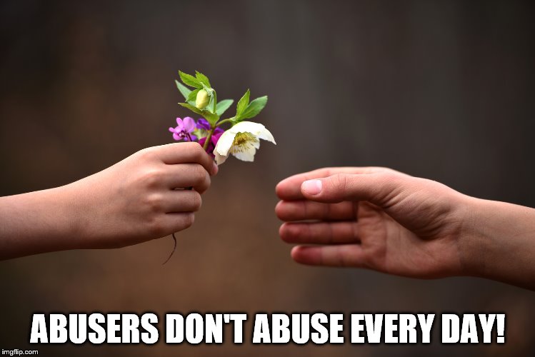 PERSUASION | ABUSERS DON'T ABUSE EVERY DAY! | image tagged in domestic abuse,domestic violence,abuse,emotional trauma | made w/ Imgflip meme maker