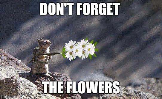 Anti Flame War Squirrel | DON'T FORGET THE FLOWERS | image tagged in anti flame war squirrel | made w/ Imgflip meme maker