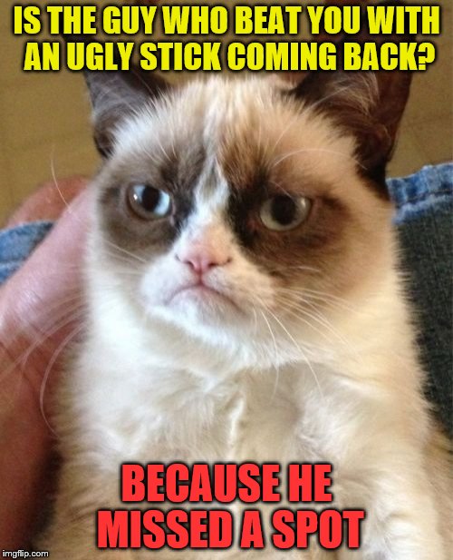 Grumpy Cat Meme | IS THE GUY WHO BEAT YOU WITH AN UGLY STICK COMING BACK? BECAUSE HE MISSED A SPOT | image tagged in memes,grumpy cat | made w/ Imgflip meme maker