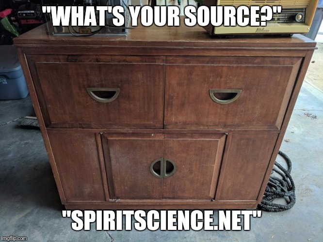 Unimpressed Drawer | "WHAT'S YOUR SOURCE?"; "SPIRITSCIENCE.NET" | image tagged in unimpressed,really,seems legit | made w/ Imgflip meme maker