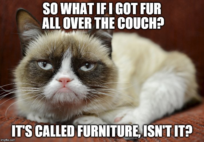 "Fur"niture :3 | SO WHAT IF I GOT FUR ALL OVER THE COUCH? IT'S CALLED FURNITURE, ISN'T IT? | image tagged in grumpy cat,memes | made w/ Imgflip meme maker