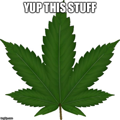 weed | YUP THIS STUFF | image tagged in weed | made w/ Imgflip meme maker