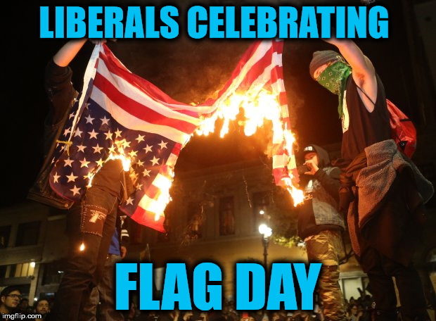 They have the right to do it, but why do they hate the USA so much? | LIBERALS CELEBRATING; FLAG DAY | image tagged in flag day,liberal logic | made w/ Imgflip meme maker