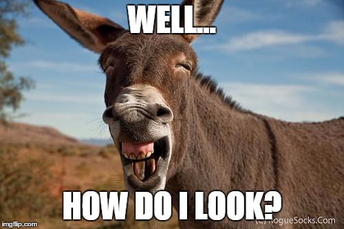 Donkey Jackass Braying | WELL... HOW DO I LOOK? | image tagged in donkey jackass braying | made w/ Imgflip meme maker