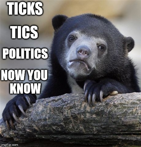 Confession Bear Meme | TICS; TICKS; POLITICS; NOW YOU KNOW | image tagged in memes,confession bear | made w/ Imgflip meme maker