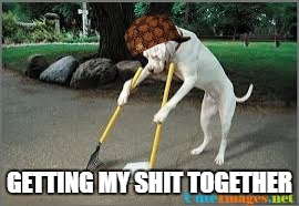 doge | GETTING MY SHIT TOGETHER | image tagged in doge,scumbag,dank memes,bad puns,funny memes,bad | made w/ Imgflip meme maker