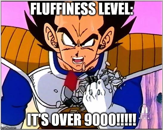 Vegeta over 9000 | FLUFFINESS LEVEL:; IT'S OVER 9000!!!!! | image tagged in vegeta over 9000 | made w/ Imgflip meme maker