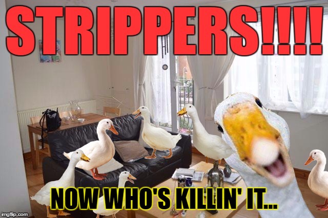 The White House |  NOW WHO'S KILLIN' IT... | image tagged in memes,ducks,your killing me smalls,strippers,in your face,shut it down now | made w/ Imgflip meme maker