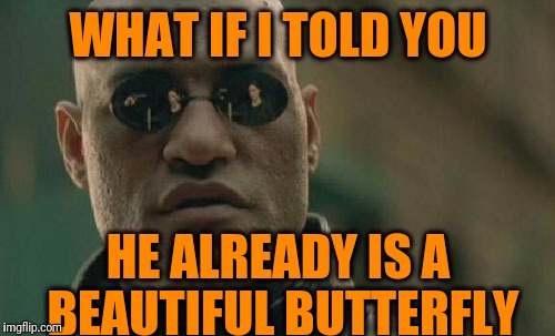 Matrix Morpheus Meme | WHAT IF I TOLD YOU HE ALREADY IS A BEAUTIFUL BUTTERFLY | image tagged in memes,matrix morpheus | made w/ Imgflip meme maker