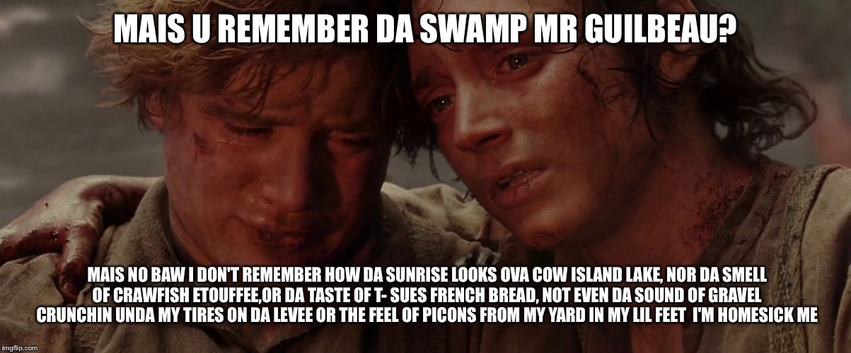 Frodo and Sam Cry | MAIS U REMEMBER DA SWAMP MR GUILBEAU? MAIS NO BAW I DON'T REMEMBER HOW DA SUNRISE LOOKS OVA COW ISLAND LAKE, NOR DA SMELL OF CRAWFISH ETOUFFEE,OR DA TASTE OF T- SUES FRENCH BREAD, NOT EVEN DA SOUND OF GRAVEL CRUNCHIN UNDA MY TIRES ON DA LEVEE OR THE FEEL OF PICONS FROM MY YARD IN MY LIL FEET  I'M HOMESICK ME | image tagged in frodo and sam cry | made w/ Imgflip meme maker