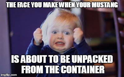 excited kid | THE FACE YOU MAKE WHEN YOUR MUSTANG; IS ABOUT TO BE UNPACKED FROM THE CONTAINER | image tagged in excited kid | made w/ Imgflip meme maker