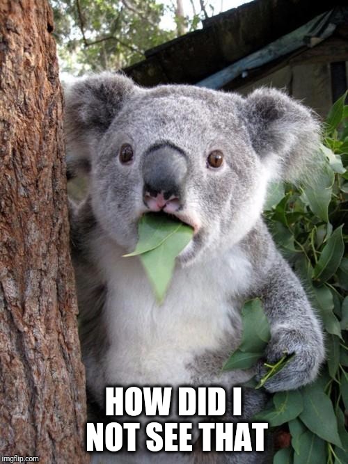 Surprised Koala | HOW DID I NOT SEE THAT | image tagged in memes,surprised koala | made w/ Imgflip meme maker