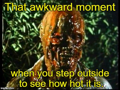 It's pretty hot  | That awkward moment when you step outside to see how hot it is. | image tagged in happy summer solstice,memes | made w/ Imgflip meme maker