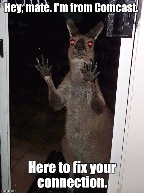 Kangaroo | Hey, mate. I'm from Comcast. Here to fix your connection. | image tagged in kangaroo | made w/ Imgflip meme maker