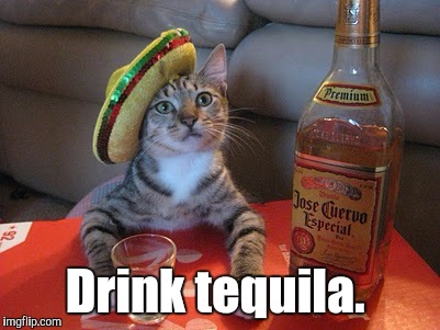 Tequila | Drink tequila. | image tagged in tequila | made w/ Imgflip meme maker