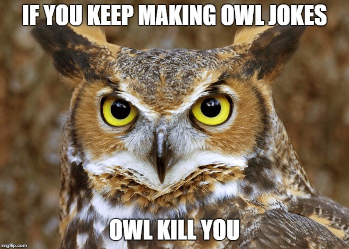 owl joke meme |  IF YOU KEEP MAKING OWL JOKES; OWL KILL YOU | image tagged in owl,meme,owljoke | made w/ Imgflip meme maker