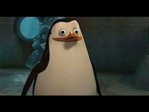 Confused penguin Blank Meme Template