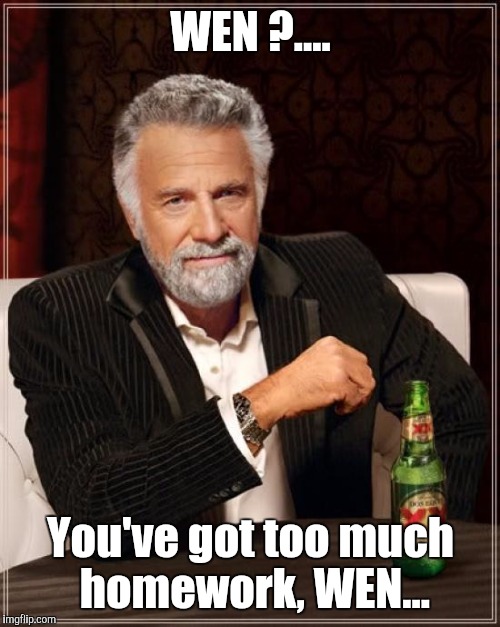 The Most Interesting Man In The World Meme | WEN ?.... You've got too much homework, WEN... | image tagged in memes,the most interesting man in the world | made w/ Imgflip meme maker