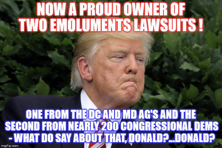 Two Summer suits  | NOW A PROUD OWNER OF TWO EMOLUMENTS LAWSUITS ! ONE FROM THE DC AND MD AG'S AND THE SECOND FROM NEARLY 200 CONGRESSIONAL DEMS - WHAT DO SAY ABOUT THAT, DONALD?...DONALD? | image tagged in donald trump | made w/ Imgflip meme maker