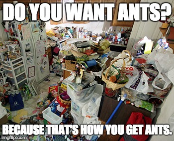 DO YOU WANT ANTS? BECAUSE THAT'S HOW YOU GET ANTS. | made w/ Imgflip meme maker