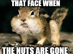 Wat were at they | THAT FACE WHEN; THE NUTS ARE GONE | image tagged in gmail | made w/ Imgflip meme maker