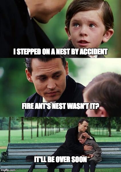 Finding Neverland Meme | I STEPPED ON A NEST BY ACCIDENT; FIRE ANT'S NEST WASN'T IT? IT'LL BE OVER SOON | image tagged in memes,finding neverland | made w/ Imgflip meme maker