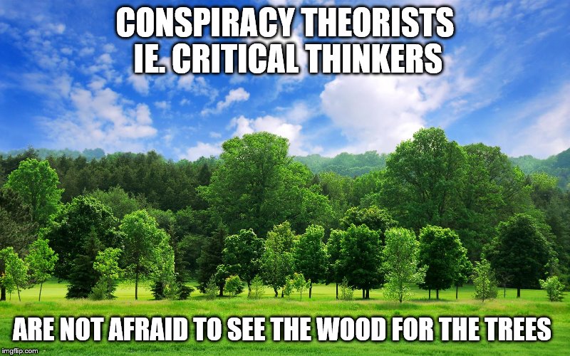 trees | CONSPIRACY THEORISTS IE. CRITICAL THINKERS; ARE NOT AFRAID TO SEE THE WOOD FOR THE TREES | image tagged in trees | made w/ Imgflip meme maker