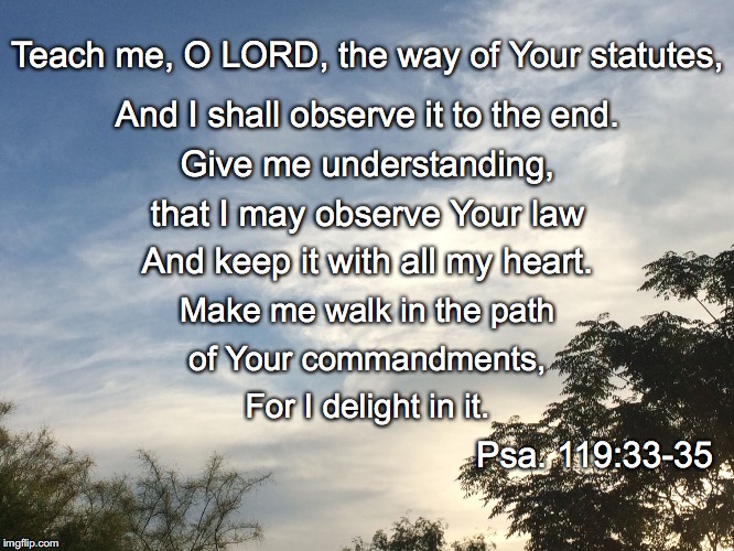 Teach me, O LORD, the way of Your statutes, And I shall observe it to the end. Give me understanding, that I may observe Your law; And keep it with all my heart. Make me walk in the path; of Your commandments, For I delight in it. Psa. 119:33-35 | image tagged in teach me | made w/ Imgflip meme maker