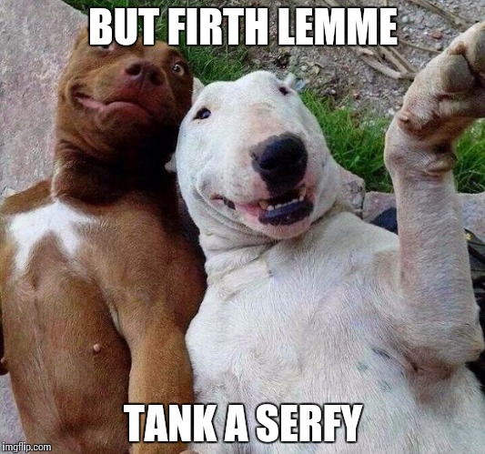 selfie dogs | BUT FIRTH LEMME; TANK A SERFY | image tagged in selfie dogs | made w/ Imgflip meme maker