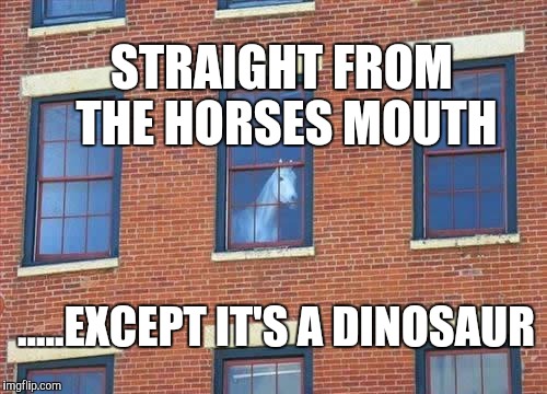 Memes     horse  | STRAIGHT FROM THE HORSES MOUTH .....EXCEPT IT'S A DINOSAUR | image tagged in memes     horse | made w/ Imgflip meme maker