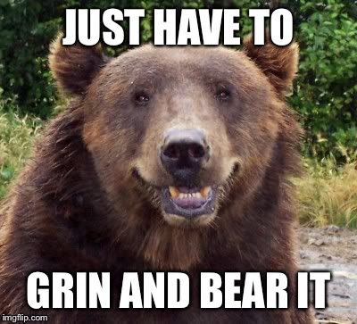 JUST HAVE TO GRIN AND BEAR IT | made w/ Imgflip meme maker