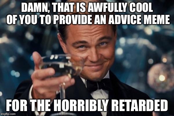 Leonardo Dicaprio Cheers Meme | DAMN, THAT IS AWFULLY COOL OF YOU TO PROVIDE AN ADVICE MEME FOR THE HORRIBLY RETARDED | image tagged in memes,leonardo dicaprio cheers | made w/ Imgflip meme maker