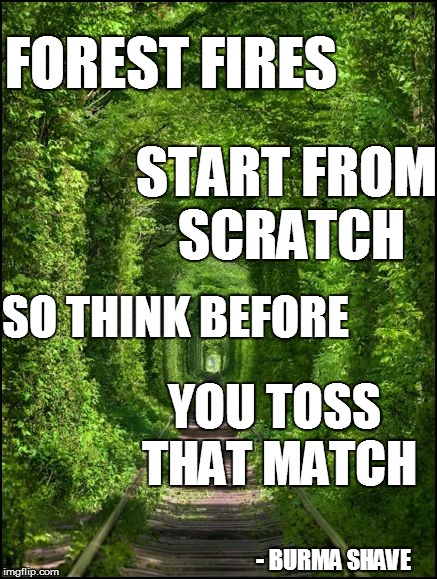 FOREST FIRES - BURMA SHAVE YOU TOSS THAT MATCH START FROM SCRATCH SO THINK BEFORE | made w/ Imgflip meme maker