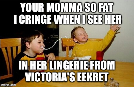 Yo Mamas So Fat | YOUR MOMMA SO FAT I CRINGE WHEN I SEE HER; IN HER LINGERIE FROM VICTORIA'S EEKRET | image tagged in memes,yo mamas so fat | made w/ Imgflip meme maker