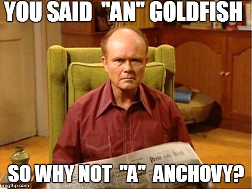 YOU SAID  ''AN'' GOLDFISH SO WHY NOT  "A"  ANCHOVY? | made w/ Imgflip meme maker