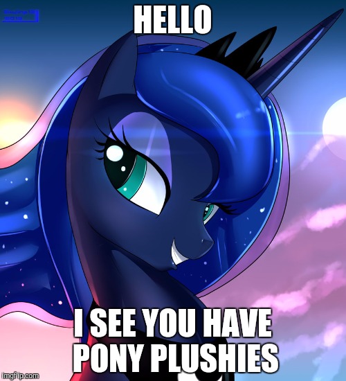 hello luna |  HELLO; I SEE YOU HAVE PONY PLUSHIES | image tagged in hello luna | made w/ Imgflip meme maker