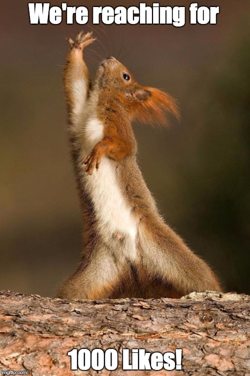 Dancing Squirrel | We're reaching for; 1000 Likes! | image tagged in dancing squirrel | made w/ Imgflip meme maker
